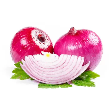 Frozen Onion (32)-794893-30169.webp